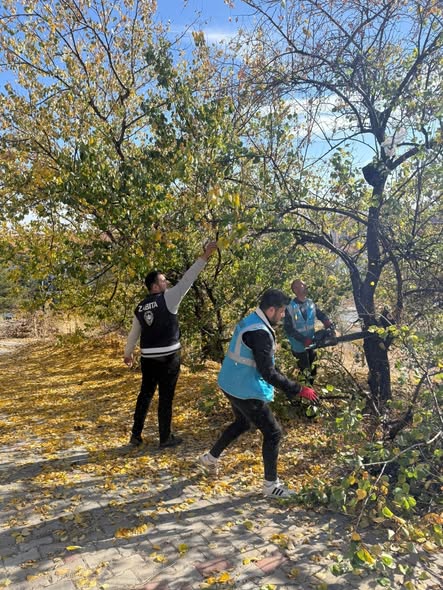 575171343 1456267899834494 7375683625571350872 N