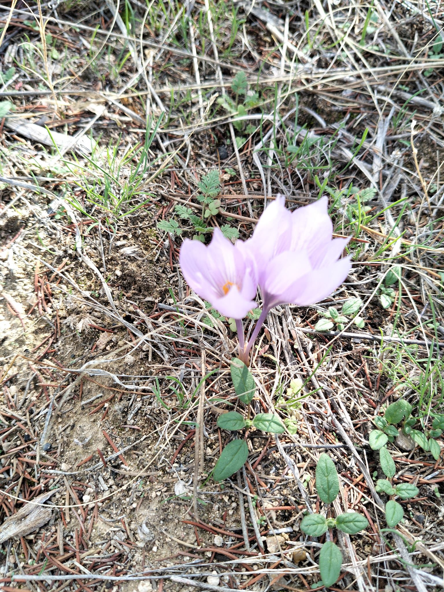 576166624 1139736611603560 7108138342793868095 N