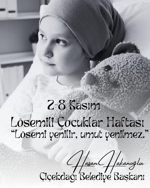 576210710 1453177993476818 6136738164817820805 N