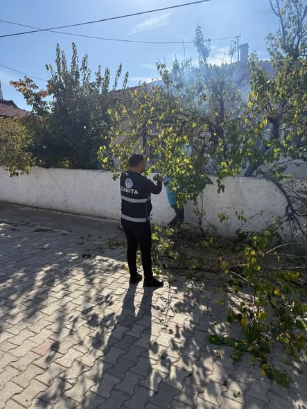 577005260 1456267743167843 7043033574038260045 N