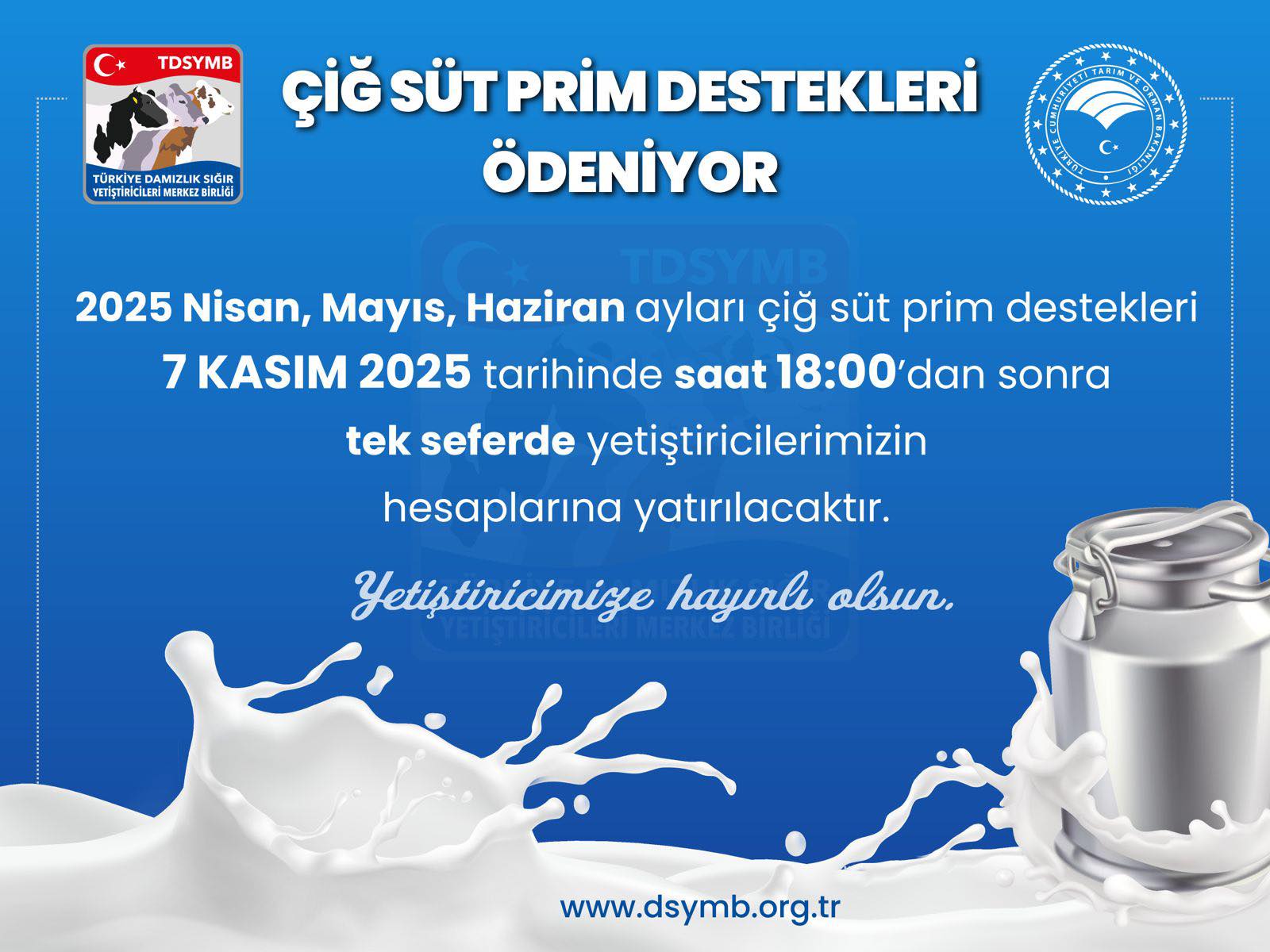 577020006 1975410619698372 5934100351977914565 N