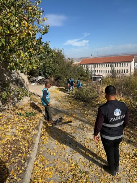 578727679 1456267829834501 8478103157582317245 N