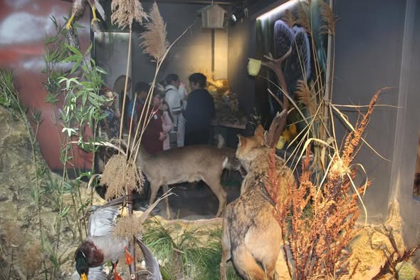 580480267 1147341007509787 5357475362557917059 N