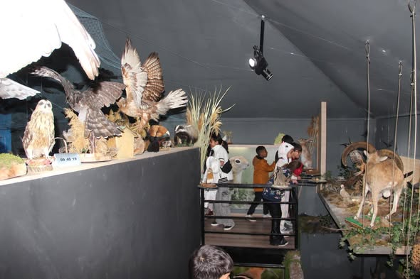 581924600 1147341610843060 1253584297058196160 N