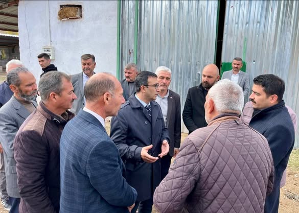 583129901 1152125093776689 4949645087181503971 N