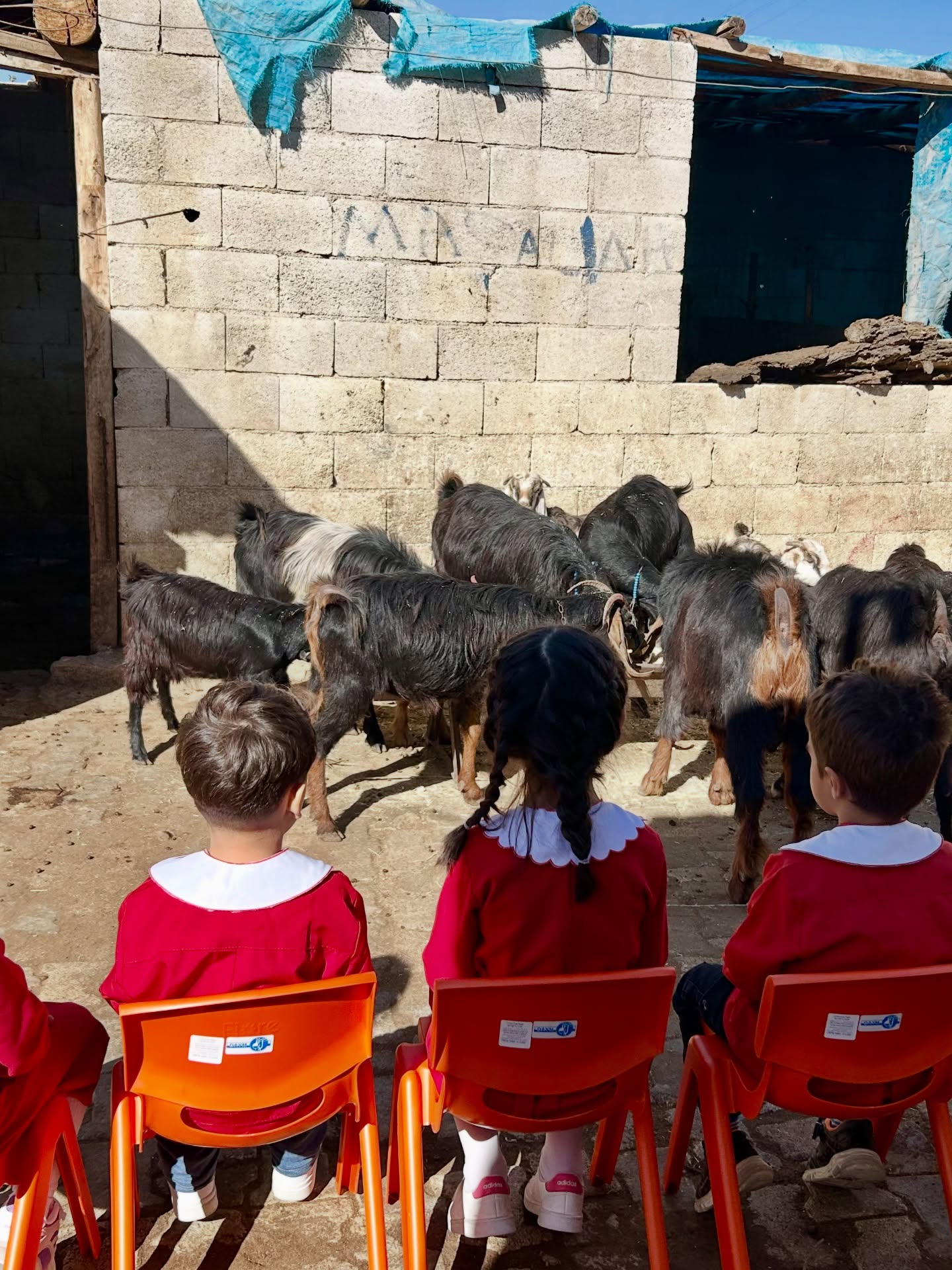 587962726 18540123646039669 4435287725947305317 N