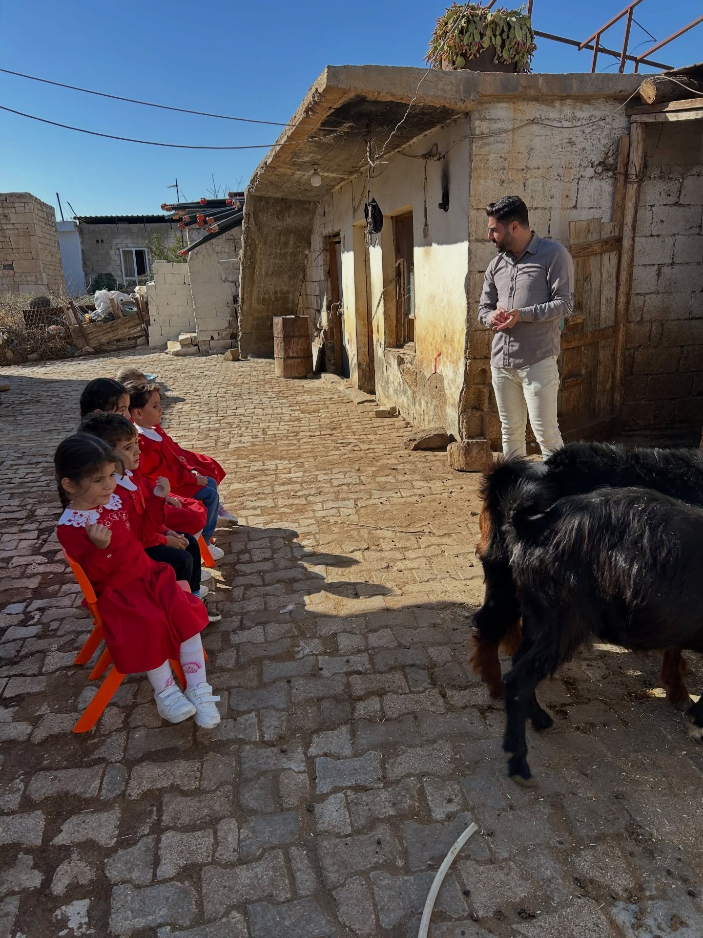 588602263 18540123658039669 2316294423339280239 N