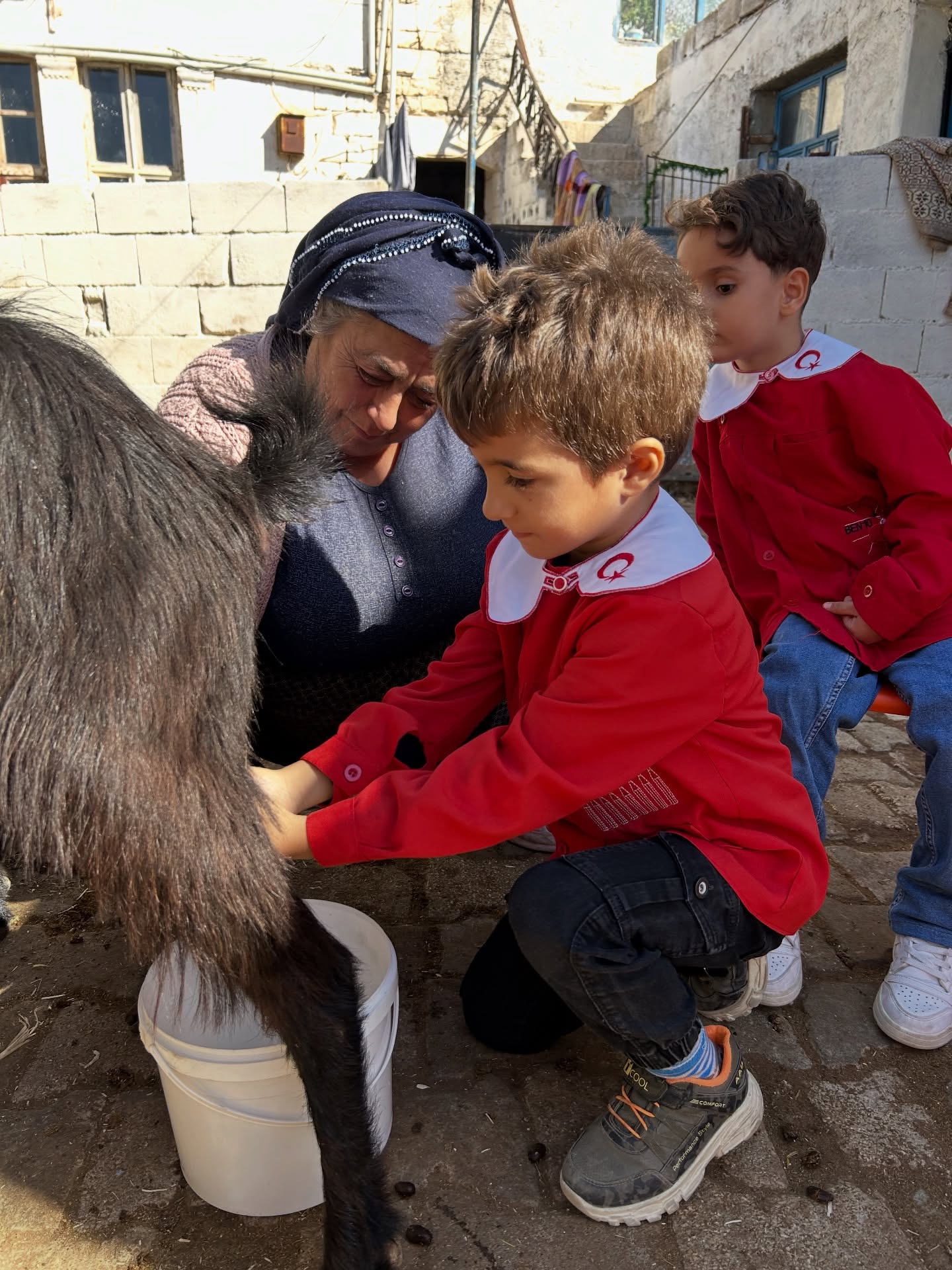 588625655 18540123601039669 8412542551526016675 N