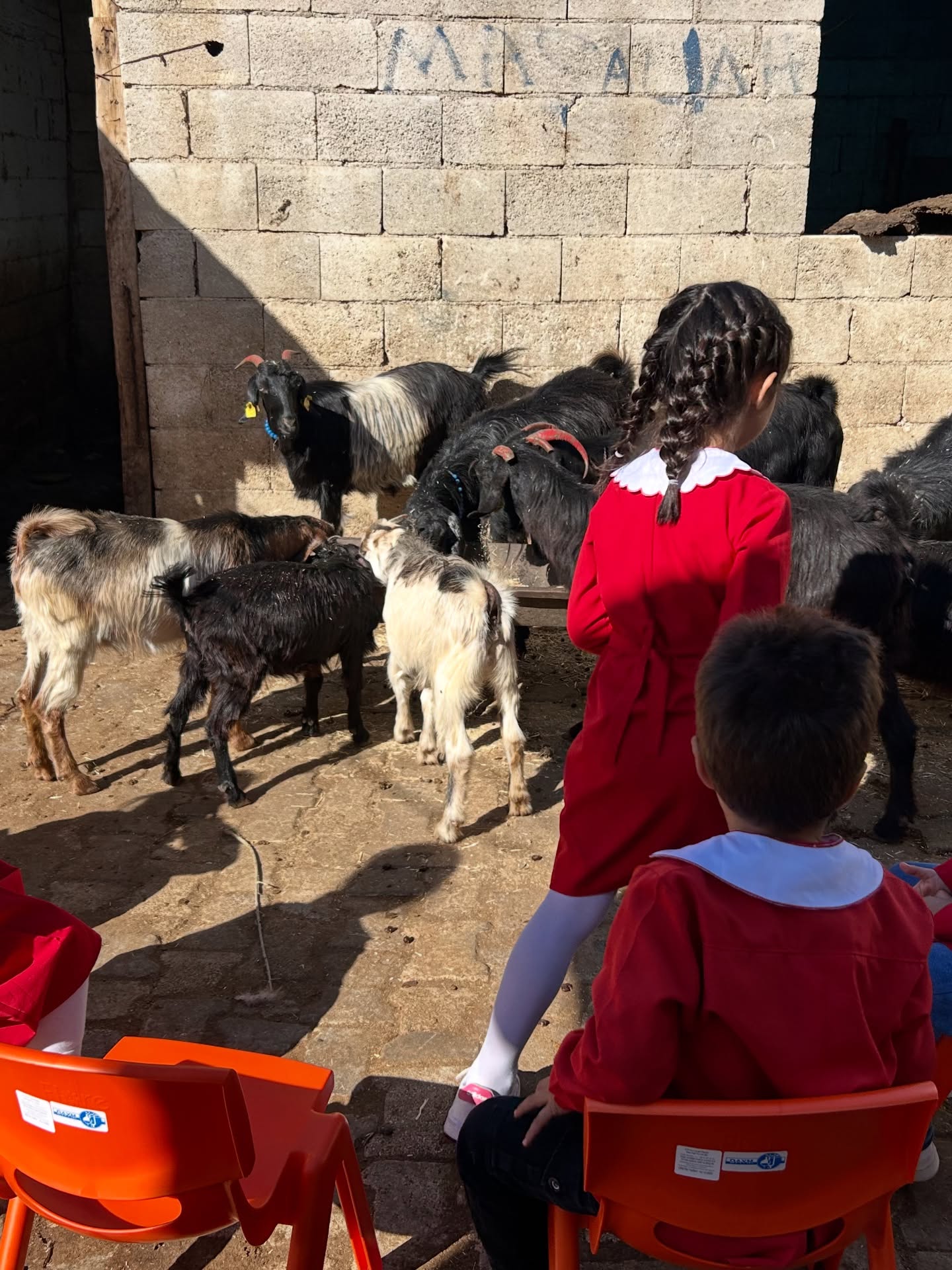 589087127 18540123694039669 8480082650456124412 N