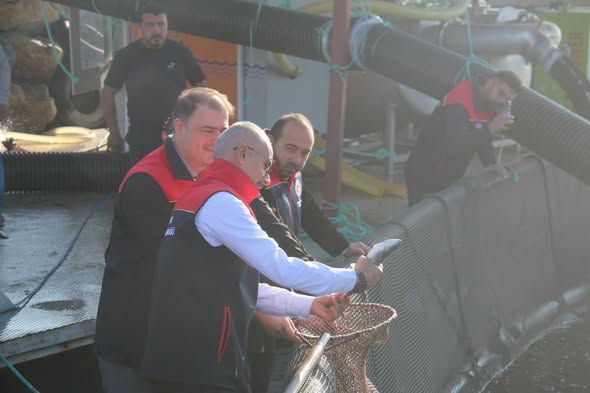 589327570 851629587341806 1193284722567314288 N