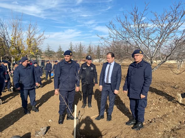 591162117 1168264165490903 8701537378974043105 N