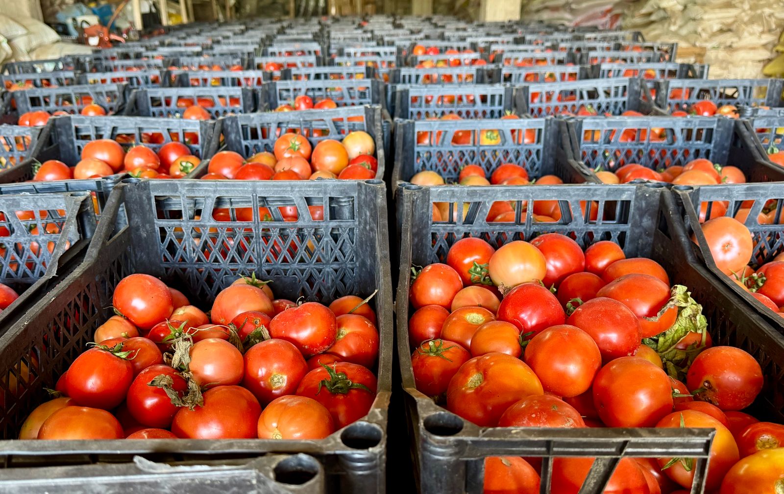 A A 20251126 39809461 39809453 K I R S E H I R D E H U K U M L U L E R 400 D O N U M L U K A R A Z I D E T A R I M V E H A Y V A N C I L I G A K A T K I D A B U L U N U Y O R