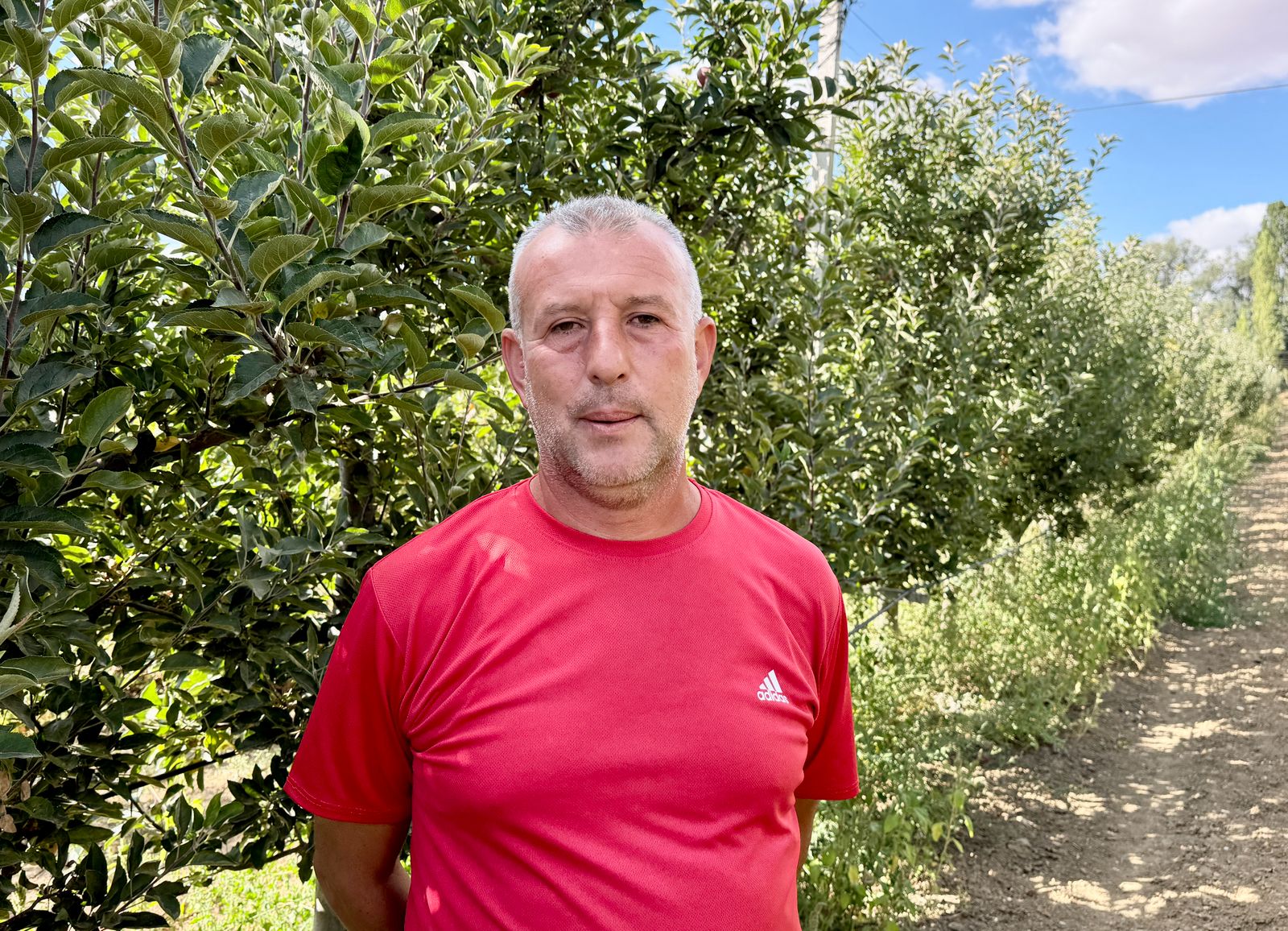 A A 20251126 39809461 39809455 K I R S E H I R D E H U K U M L U L E R 400 D O N U M L U K A R A Z I D E T A R I M V E H A Y V A N C I L I G A K A T K I D A B U L U N U Y O R