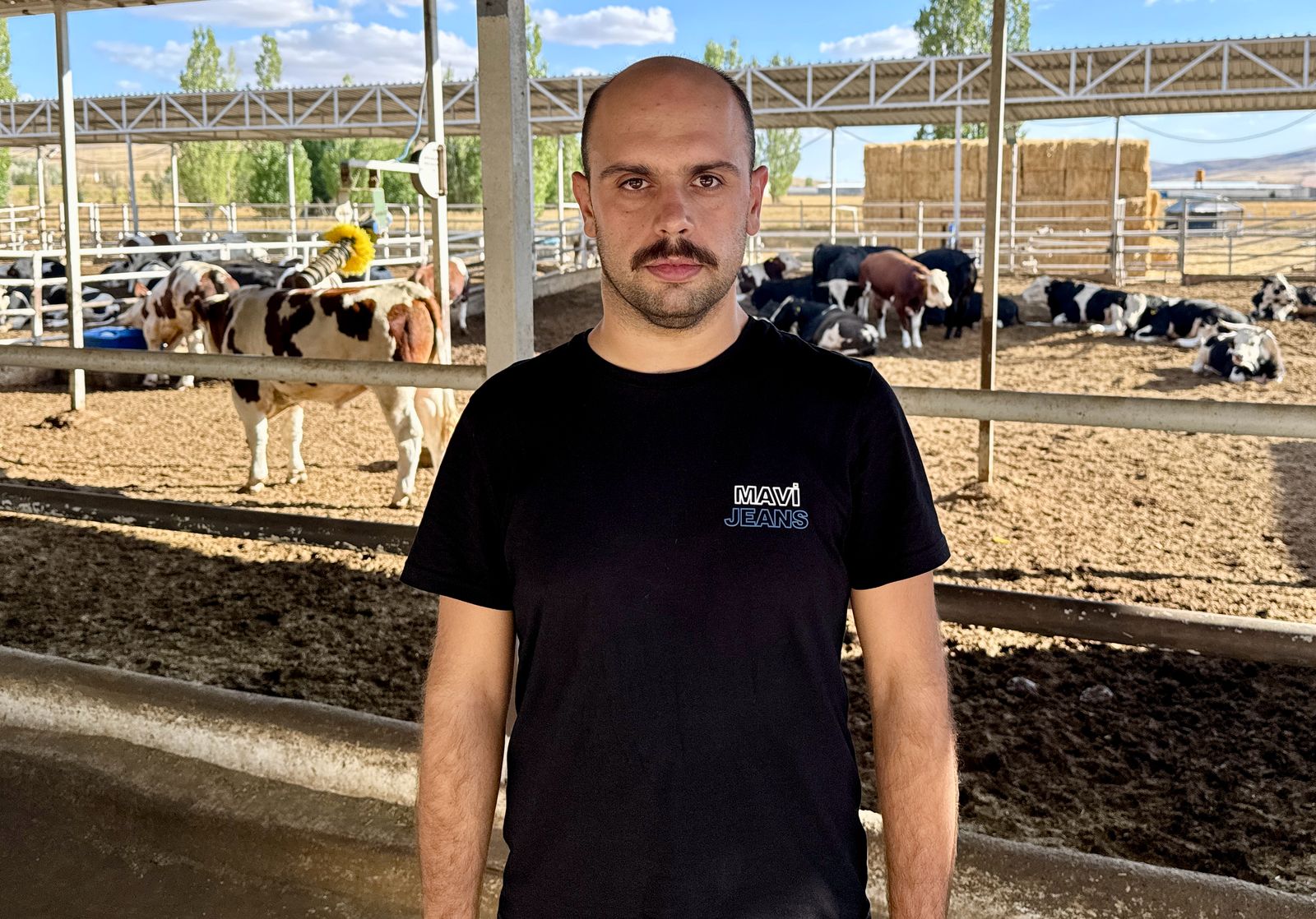 A A 20251126 39809461 39809460 K I R S E H I R D E H U K U M L U L E R 400 D O N U M L U K A R A Z I D E T A R I M V E H A Y V A N C I L I G A K A T K I D A B U L U N U Y O R