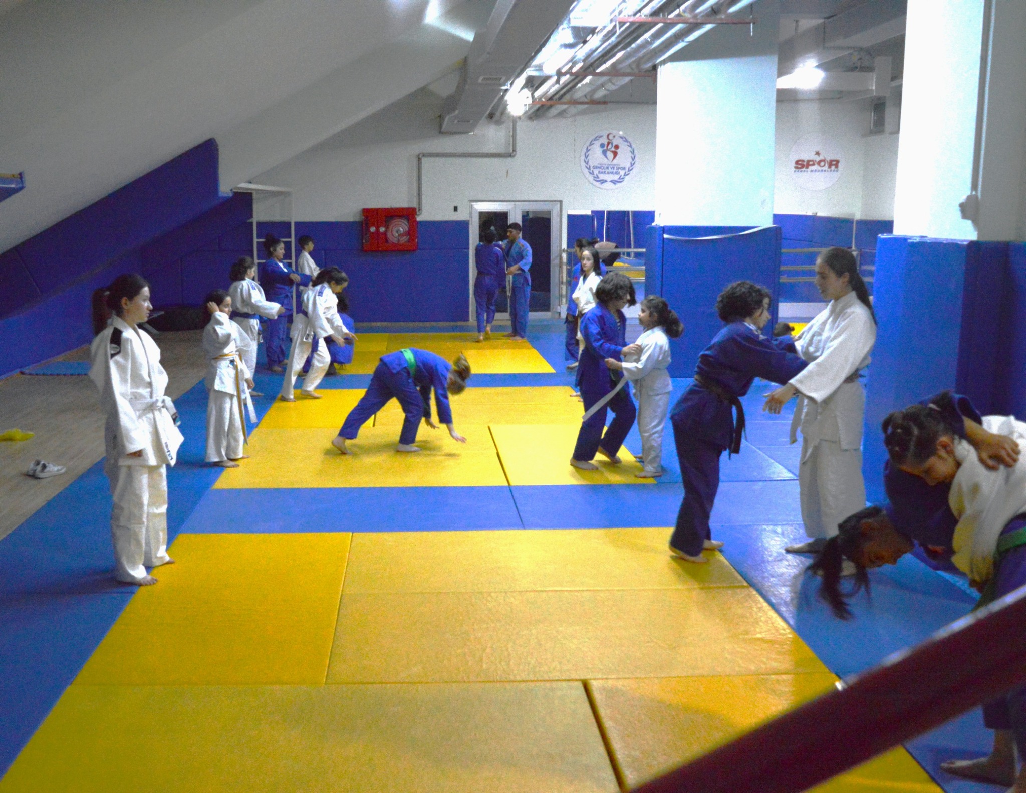 Judo2