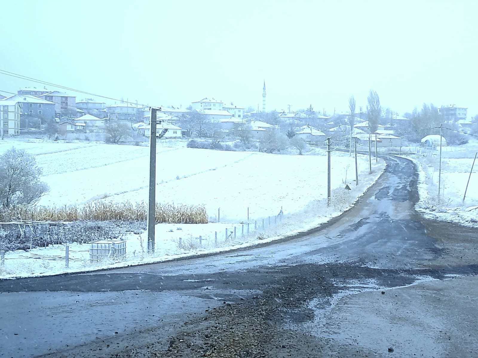 Whatsapp Image 2025 11 15 At 12.25.25