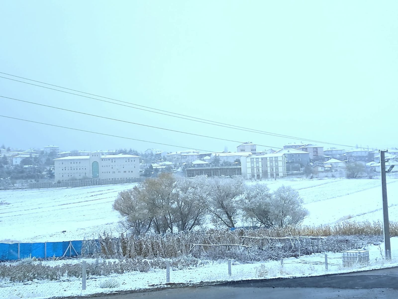 Whatsapp Image 2025 11 15 At 12.25.26 (2)