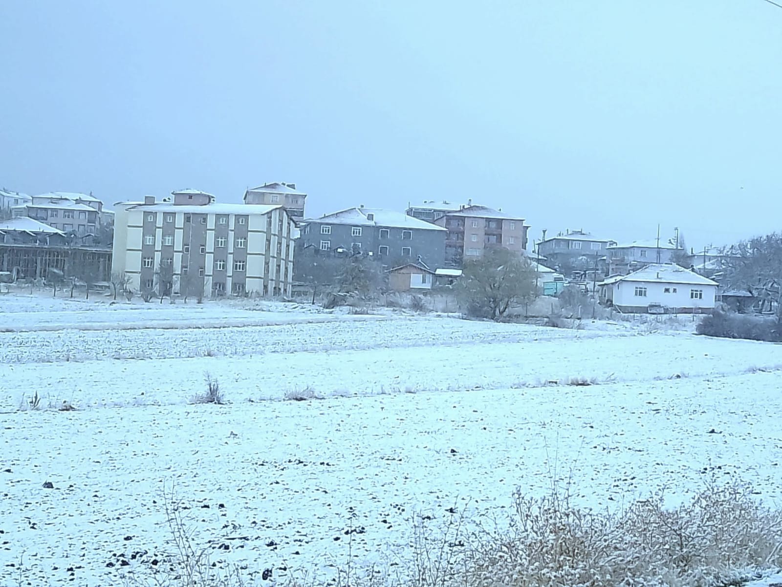 Whatsapp Image 2025 11 15 At 12.25.26