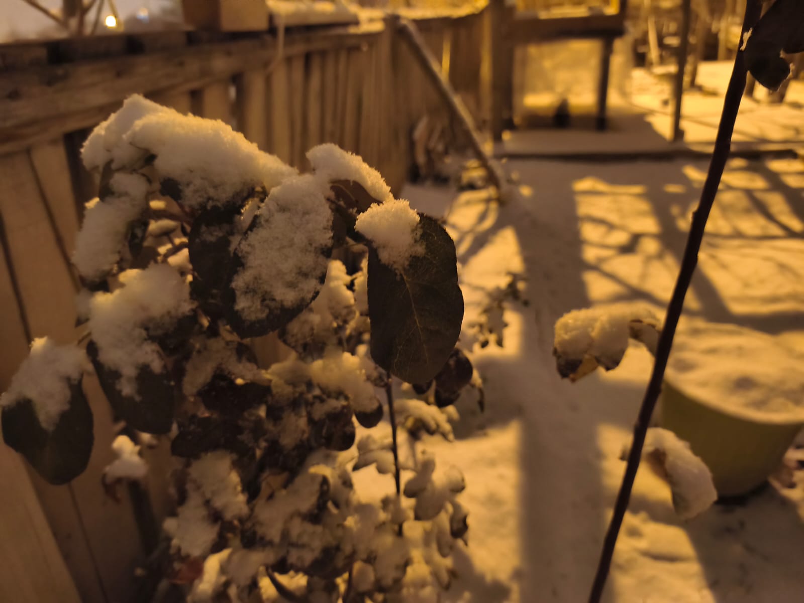 1F319Cd8 3600 4E93 97Fc 4A3A571Fcf8C