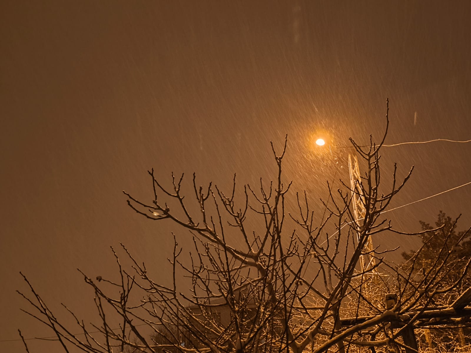 4Dd065B9 E5Da 4471 B3Cf D63E92Cdbe69