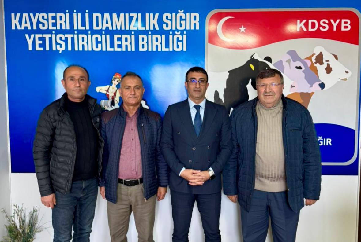 592762529 1997446014161499 8436282264228747279 N