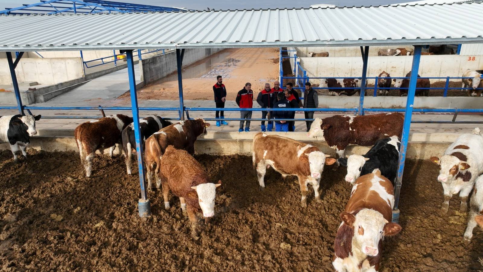 593522779 855282740309824 8744582586271294359 N