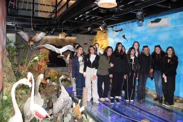 593886852 1161614959415725 2712472467398269339 N