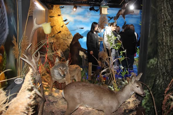 594071533 1161615002749054 9077405844833983887 N