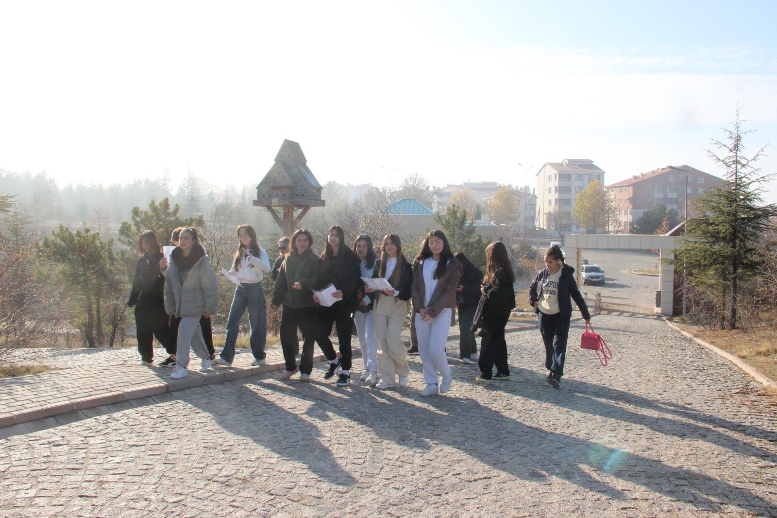 595113614 1161614929415728 2827481475410114626 N