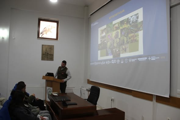 595377172 1161615022749052 517644686530912419 N