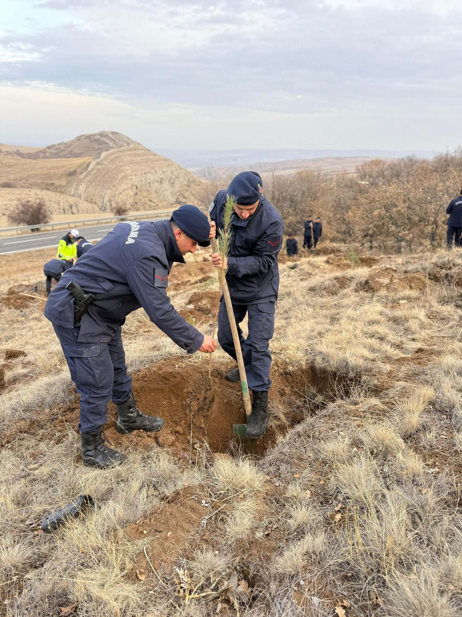 596086175 1165971609057660 7305733353514551272 N