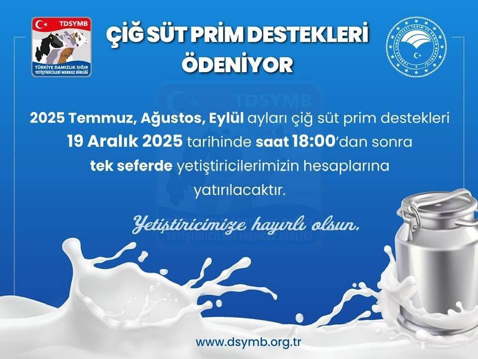 597387419 2008383909734376 5074579511749228449 N