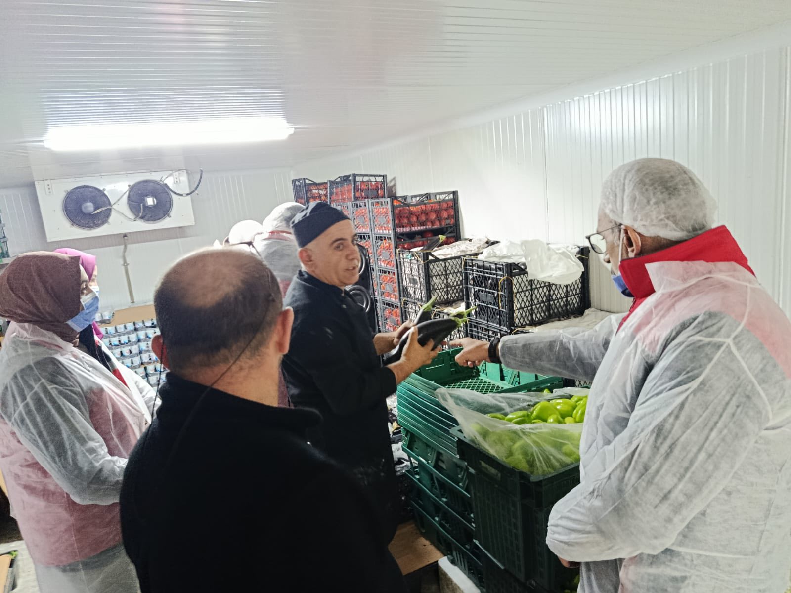 597487042 861952832976148 3056782098129191514 N