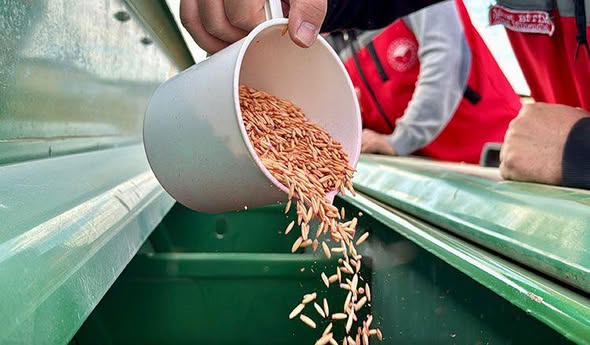 602360737 869509222220509 9000530679496615183 N