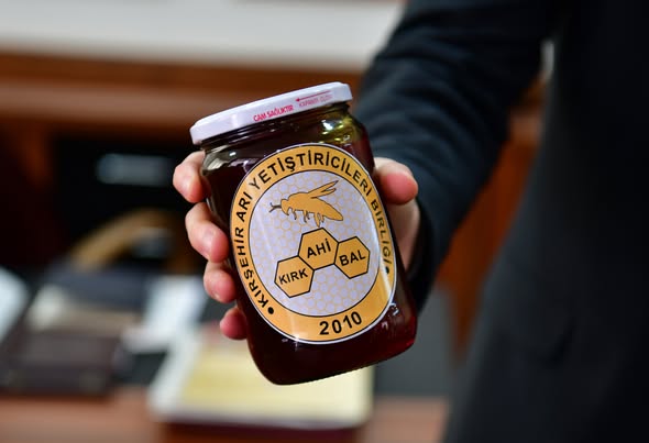 603048440 1184760520508565 2075118914287517658 N