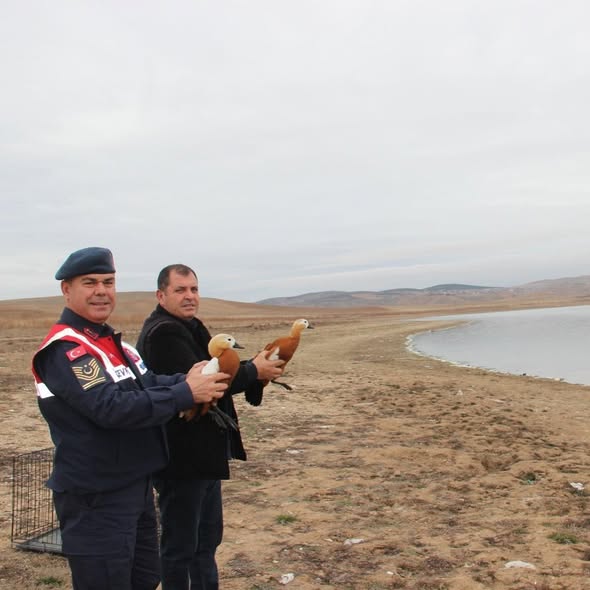 609224137 18548968012065290 2307455181168173583 N