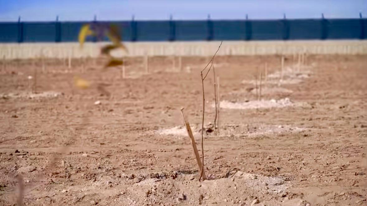 A A 20251208 39924955 39924951 K I R S E H I R D E C E Z A E V I Y E R L E S K E L E R I N D E 5 B I N 500 F I D A N T O P R A K L A B U L U S T U