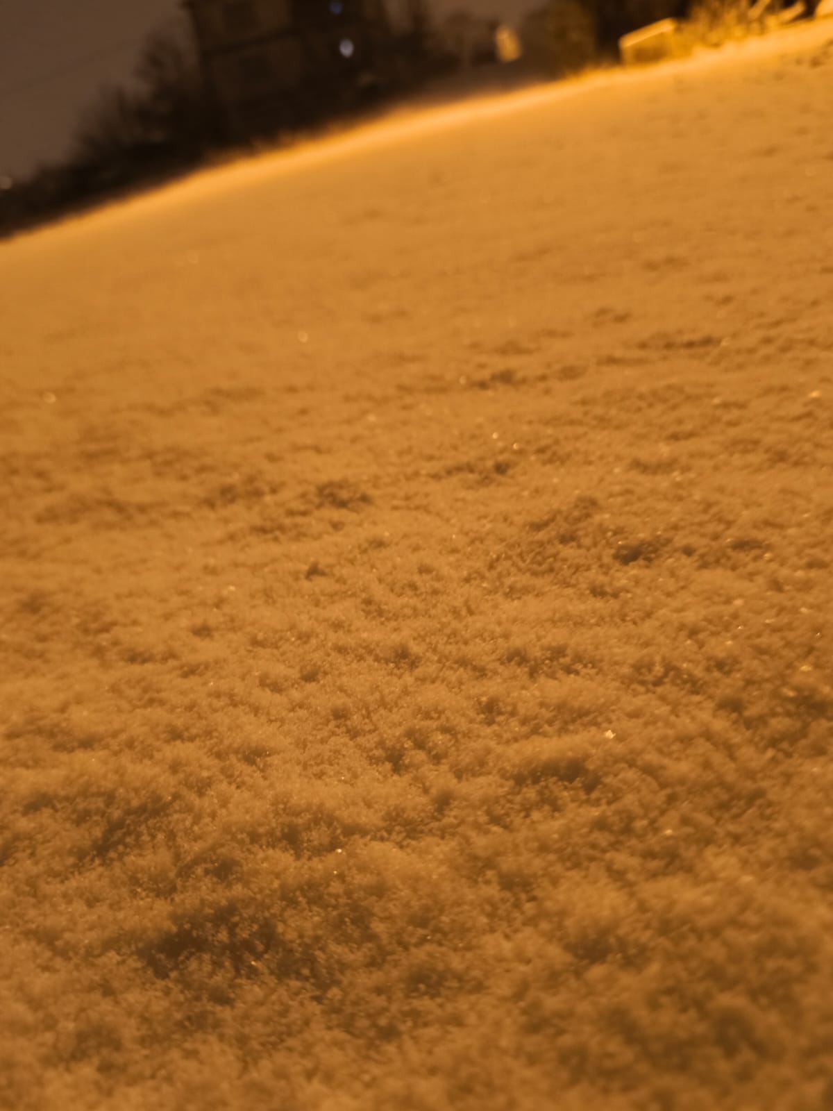 A32F062B C6F1 4111 A903 77490D4304Db