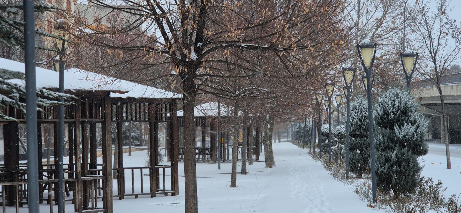 0571994C E8Fd 4797 B1F7 E348Ba36E956