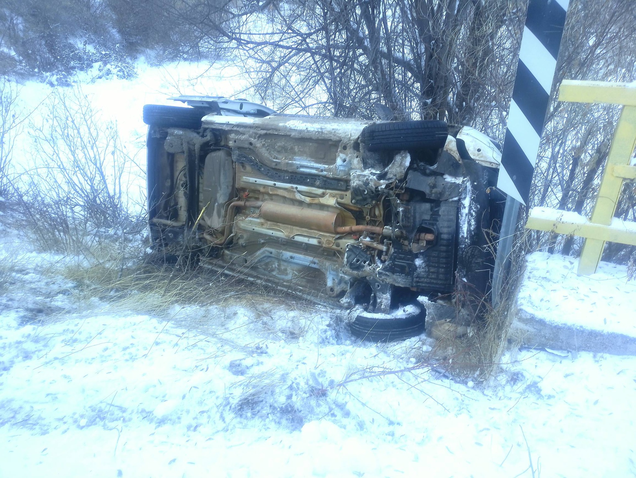 605871742 10164408401234887 4326385990798572905 N