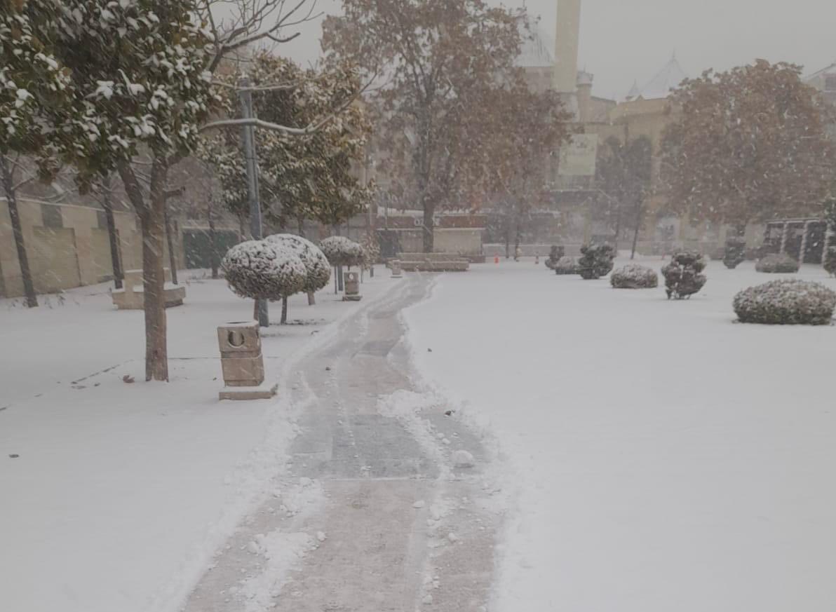 608433138 1214379440875471 8039891602866983181 N