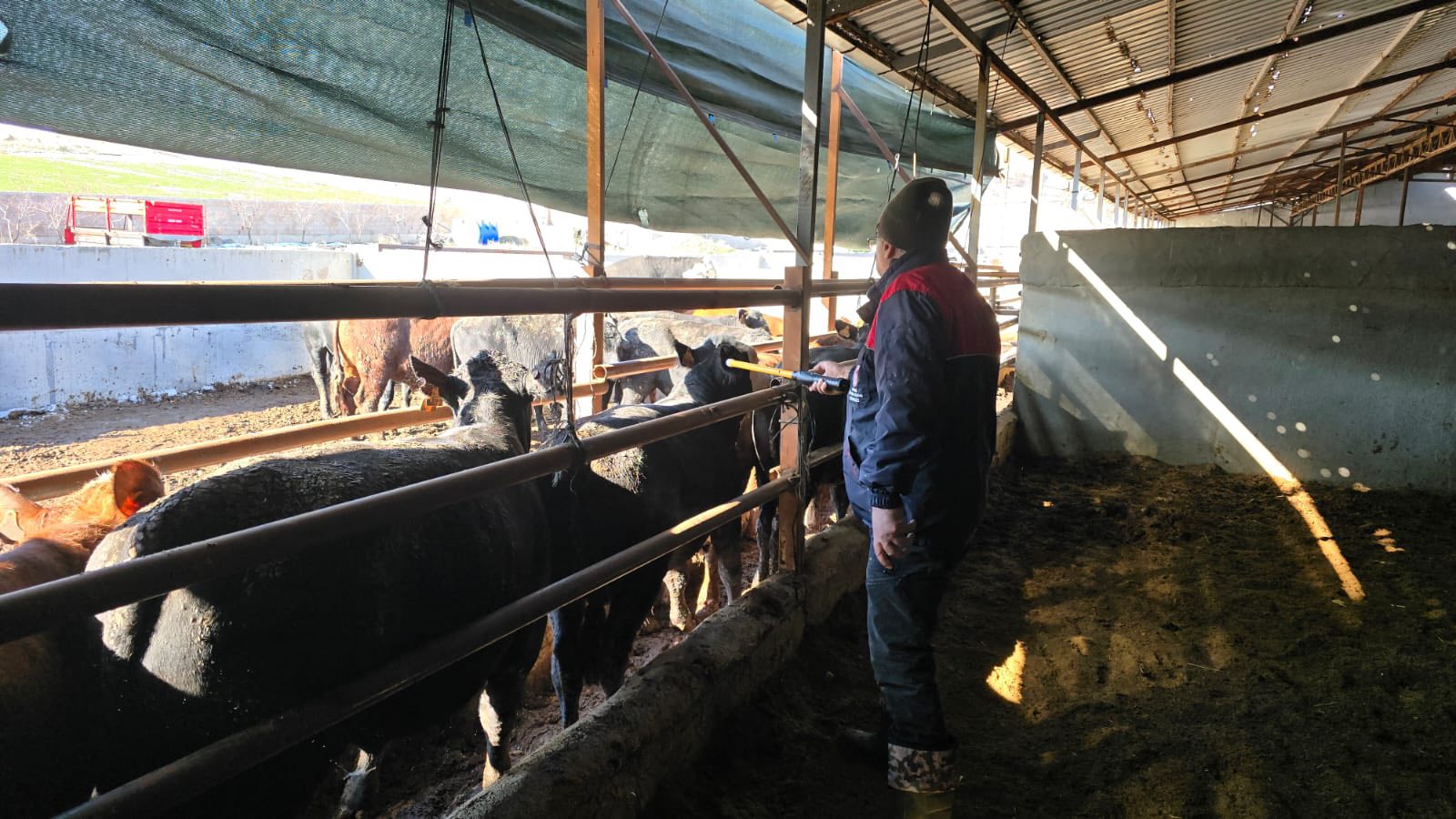 608668163 881022604402504 5507933462147701300 N