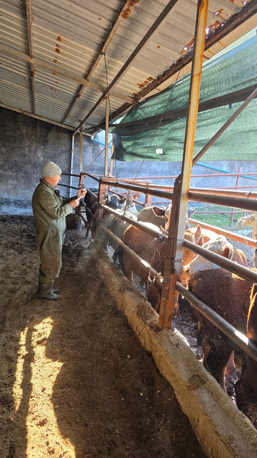 611711335 881022621069169 4315470679792355888 N