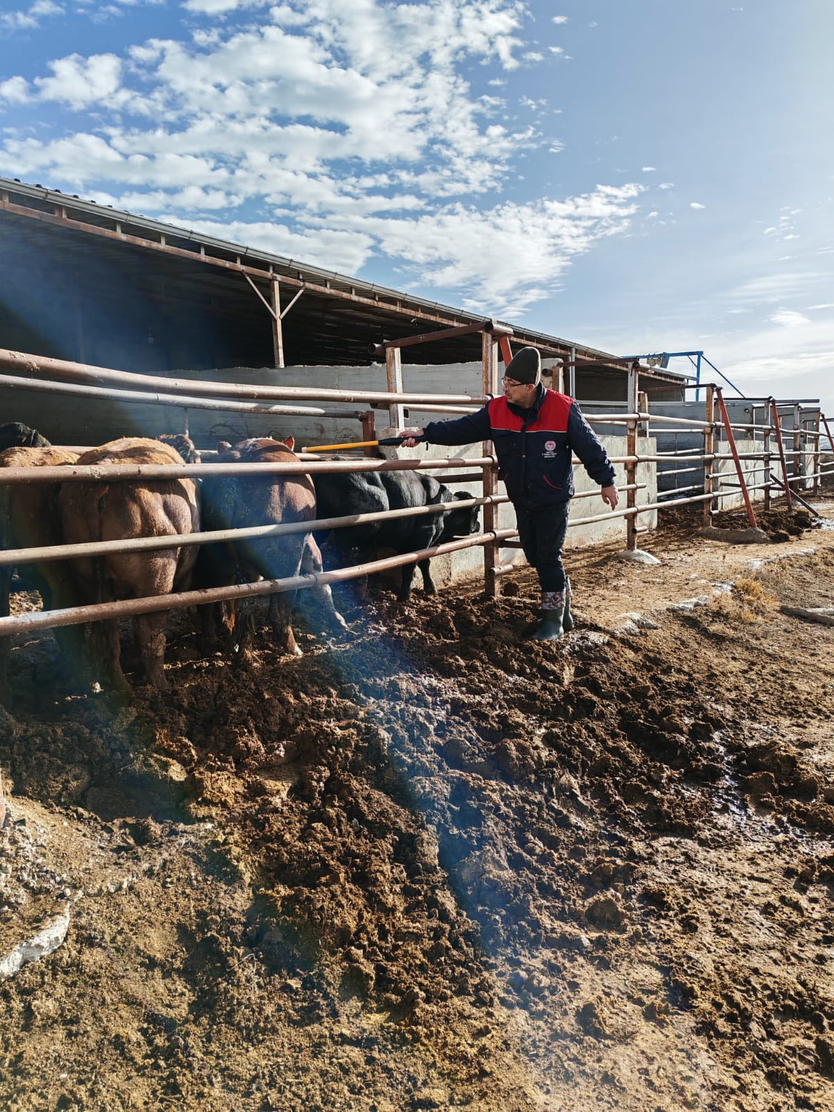 612644498 881022574402507 262549345825268124 N