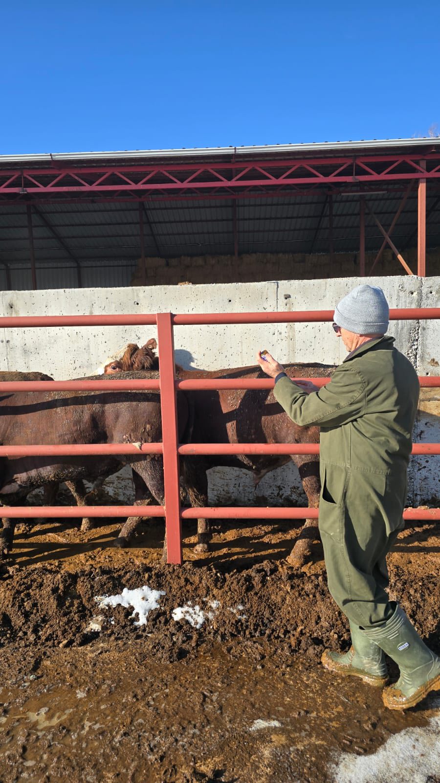 612653451 881022597735838 2790696610148171275 N