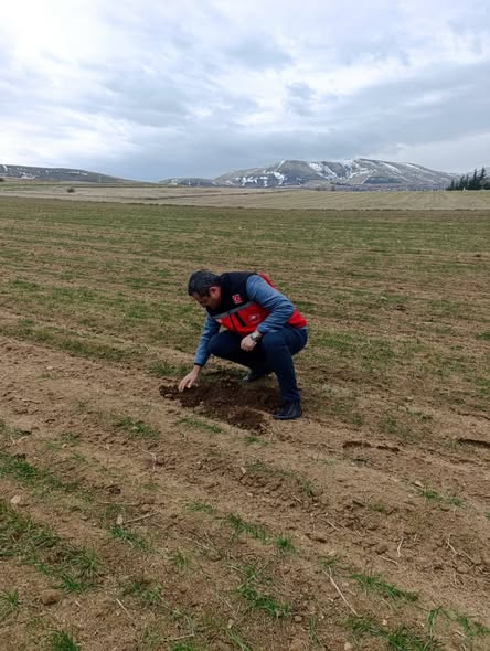 615392632 885747543930010 5038605875943201334 N