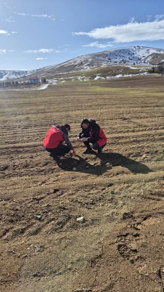 615424875 885747453930019 426984193924651437 N