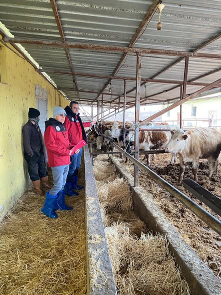 616038422 889515833553181 8676498621334706074 N