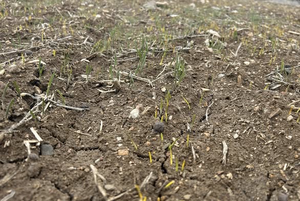 616821569 891940153310749 6404043485025145909 N