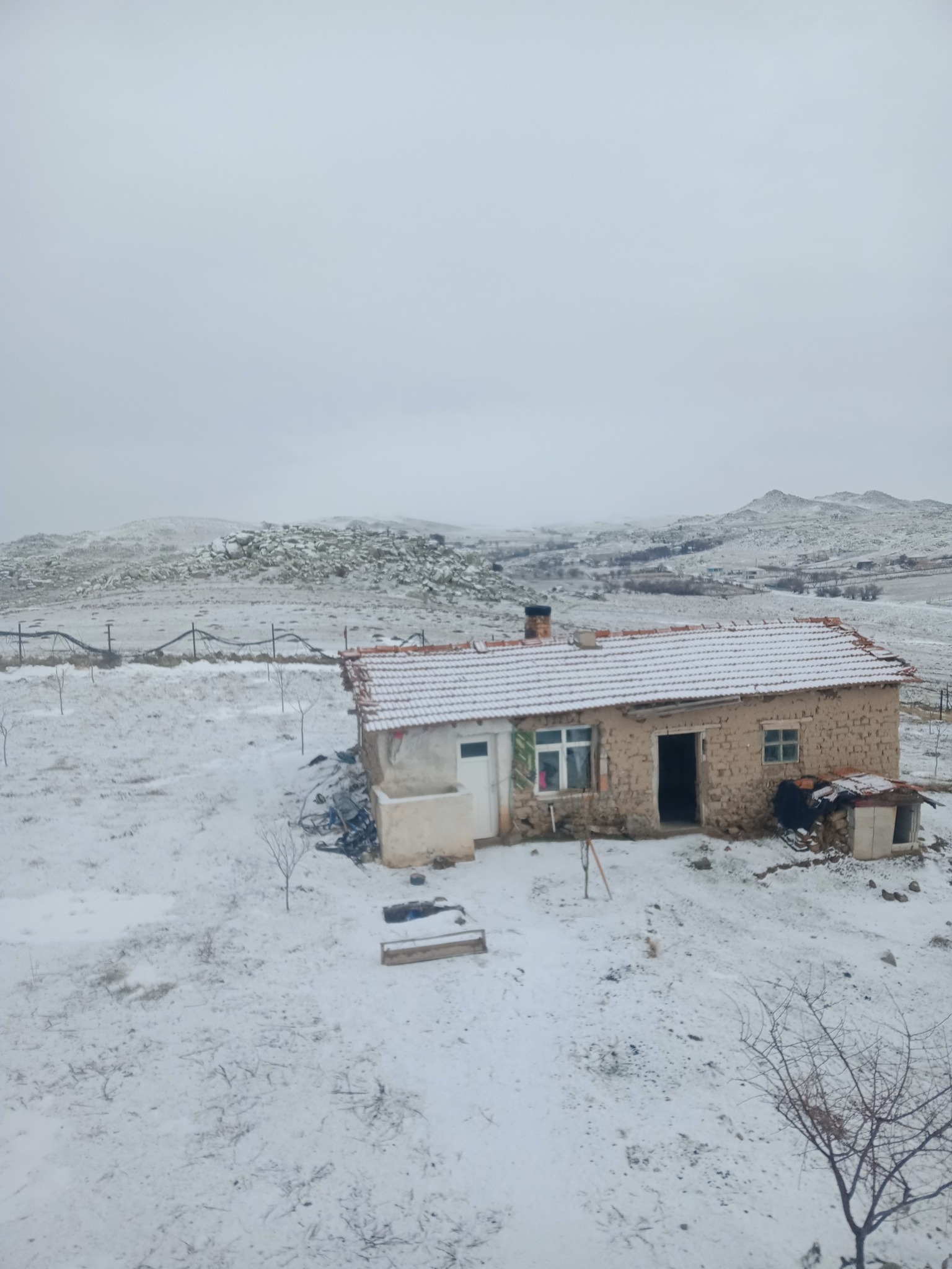 619345832 1447796060096311 9056973127401985996 N